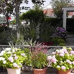Lavanda 3 Διαμέρισμα Njivice